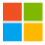 Microsoft icon